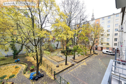 Mieszkanie Wynajem  Śródmieście Emilii Plater